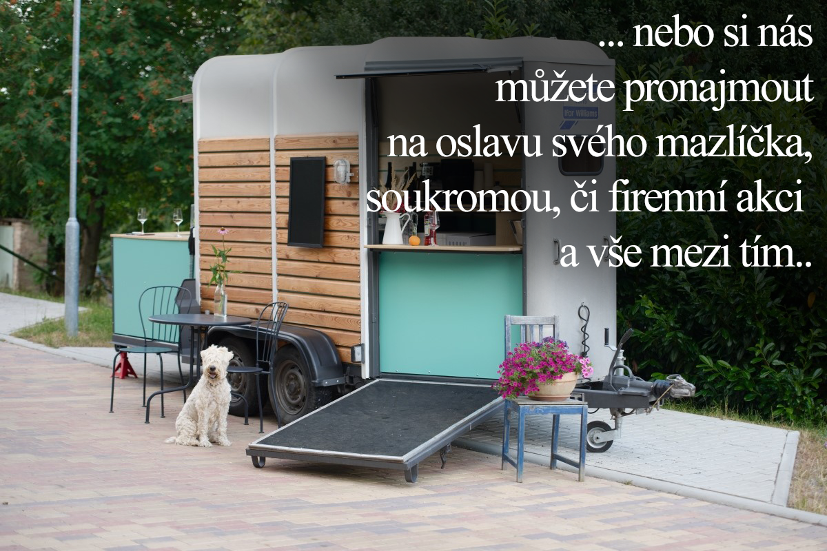 oslavy